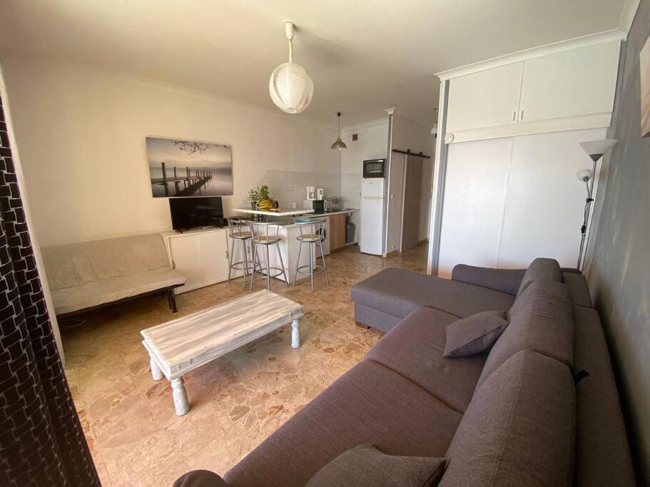 Logement Les Pieds Dans L'eau ! Apartment Ajaccio (Corsica)